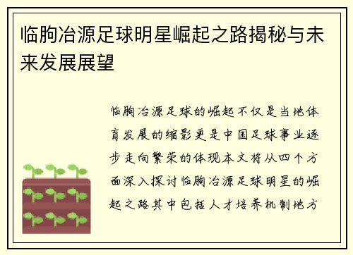 临朐冶源足球明星崛起之路揭秘与未来发展展望